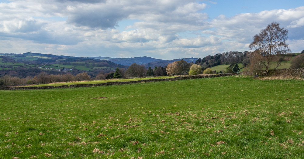 Masson Hill Masson Hill